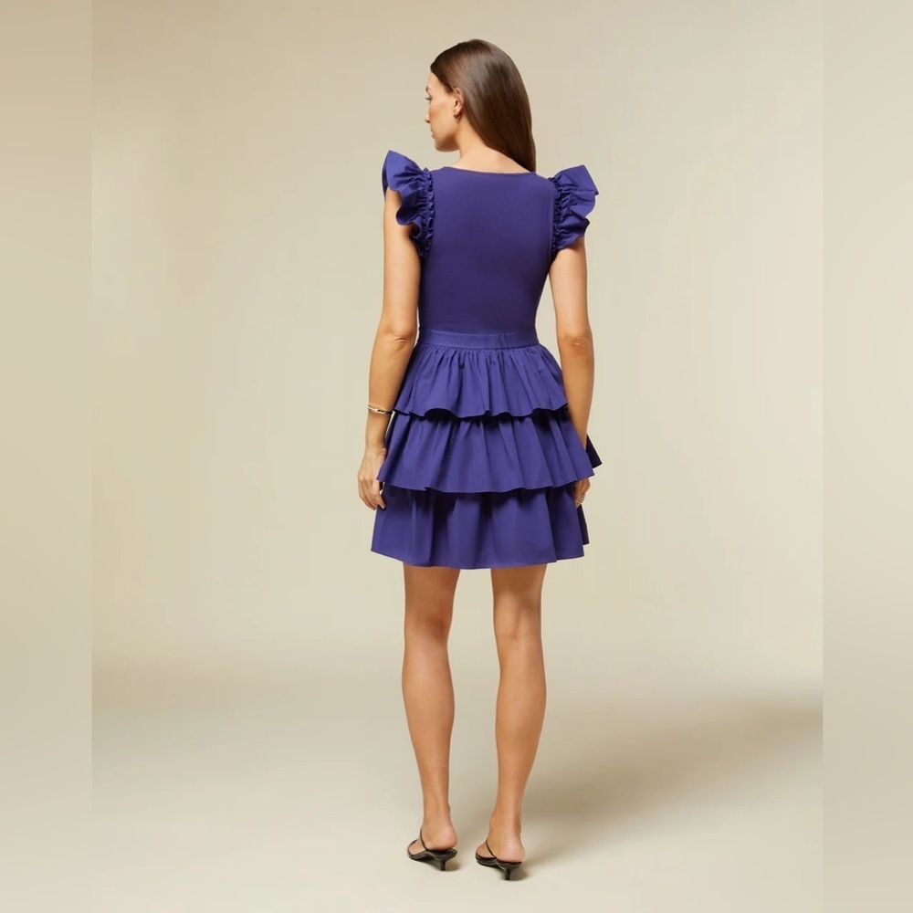 Rachel Parcell Ruffle Tank Dress - Picture 4 of 5